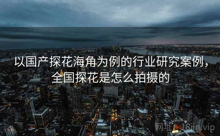 以国产探花海角为例的行业研究案例，全国探花是怎么拍摄的