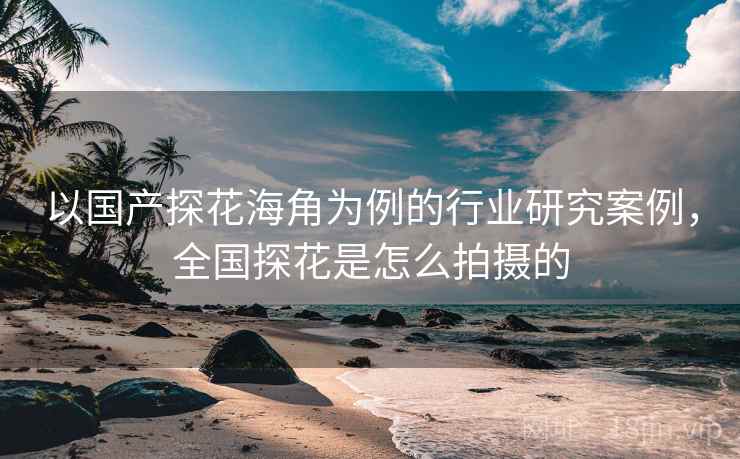 以国产探花海角为例的行业研究案例，全国探花是怎么拍摄的