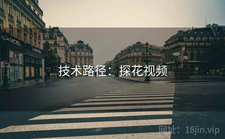 技术路径：探花视频