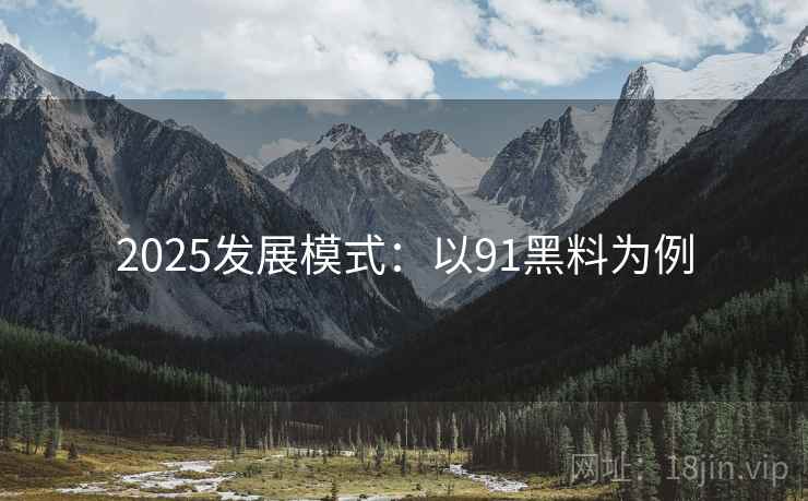 2025发展模式：以91黑料为例