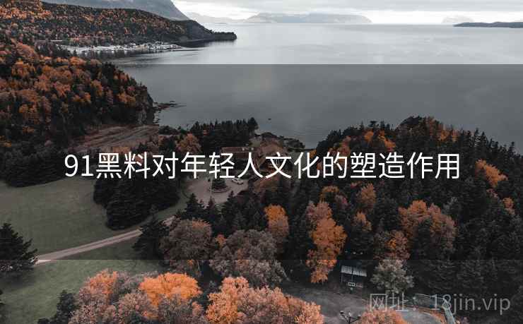 91黑料对年轻人文化的塑造作用  第2张