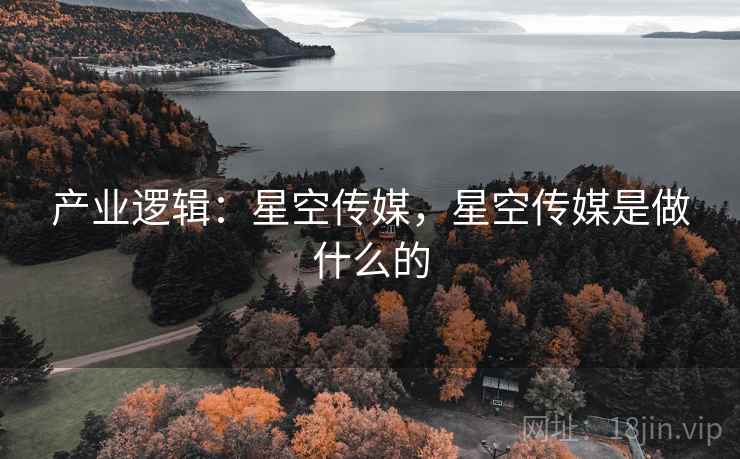 产业逻辑：星空传媒，星空传媒是做什么的
