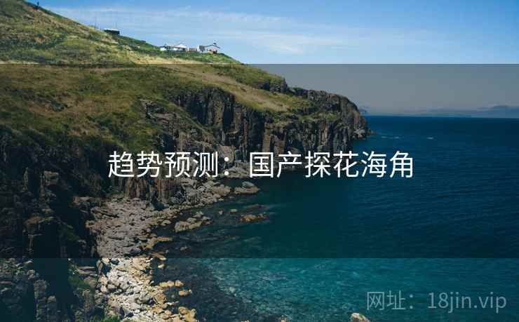 趋势预测：国产探花海角