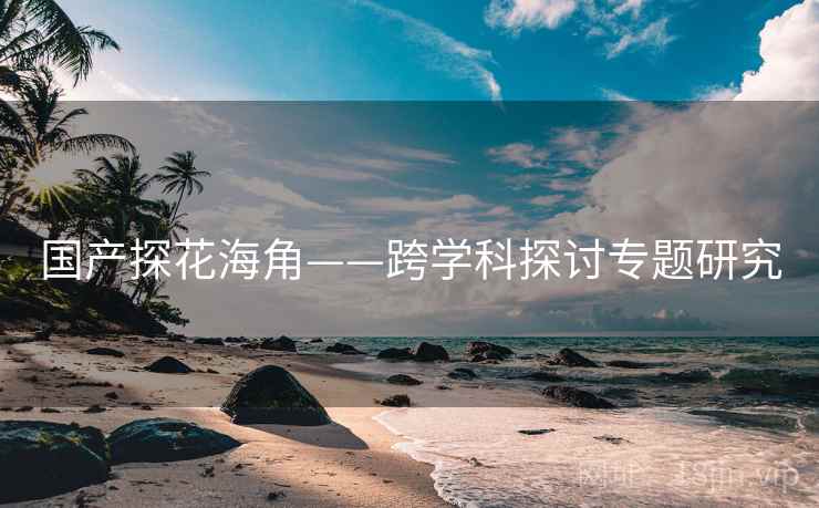 国产探花海角——跨学科探讨专题研究