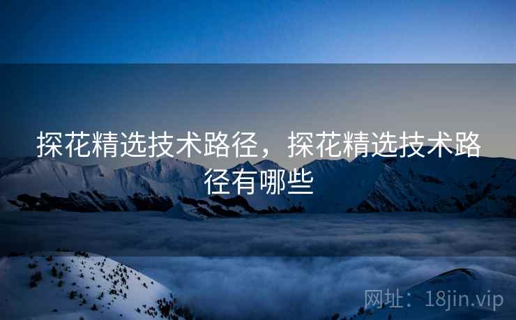 探花精选技术路径，探花精选技术路径有哪些