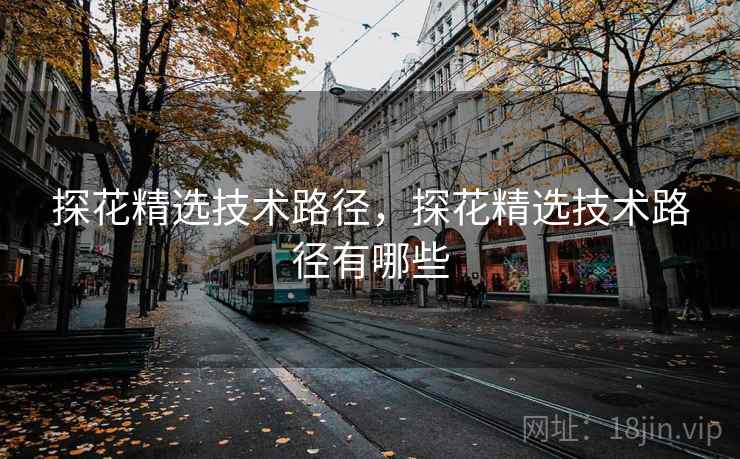 探花精选技术路径，探花精选技术路径有哪些