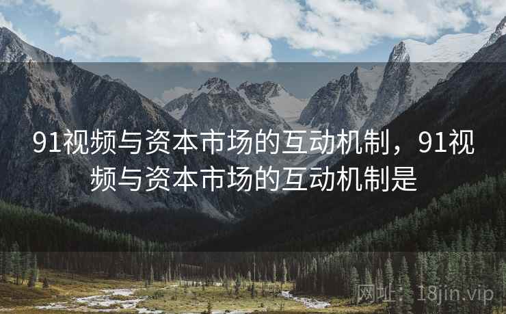 91视频与资本市场的互动机制，91视频与资本市场的互动机制是