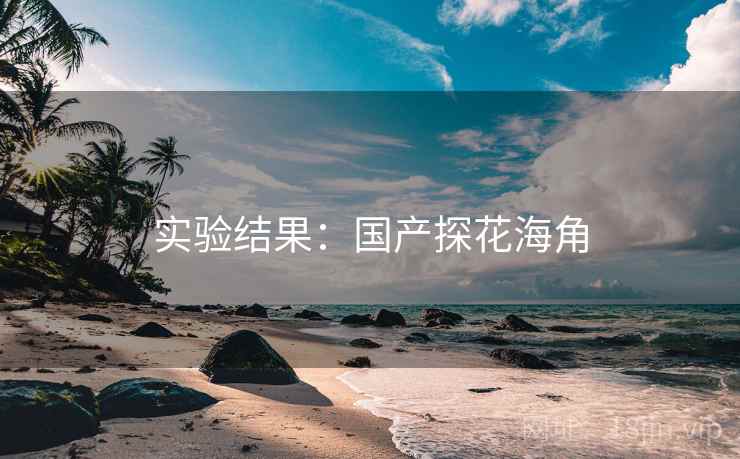 实验结果：国产探花海角