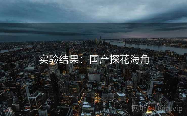 实验结果：国产探花海角