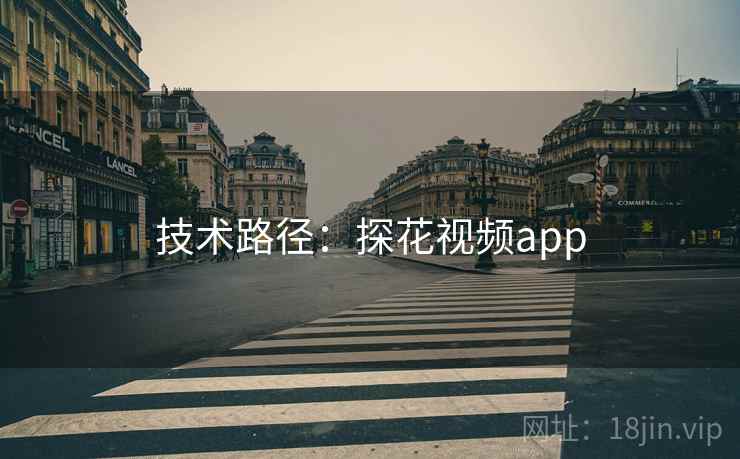技术路径：探花视频app