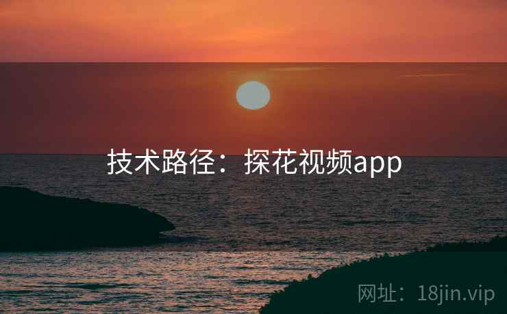 技术路径：探花视频app