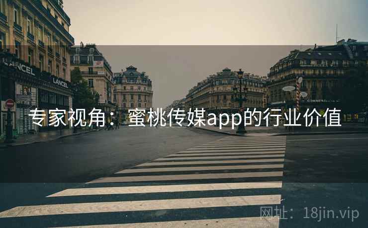 专家视角：蜜桃传媒app的行业价值  第1张