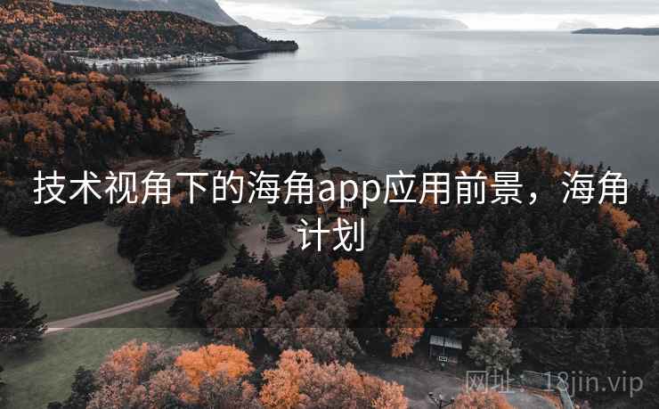 技术视角下的海角app应用前景，海角计划
