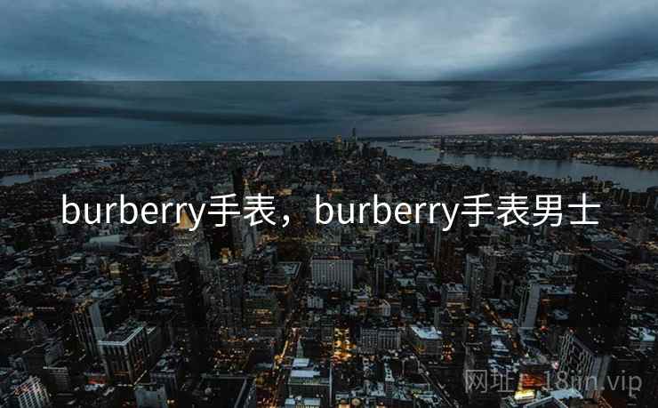 burberry手表，burberry手表男士